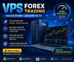 Thuê VPS FOREX TRADING